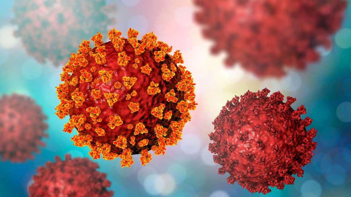 picture of the covid virus